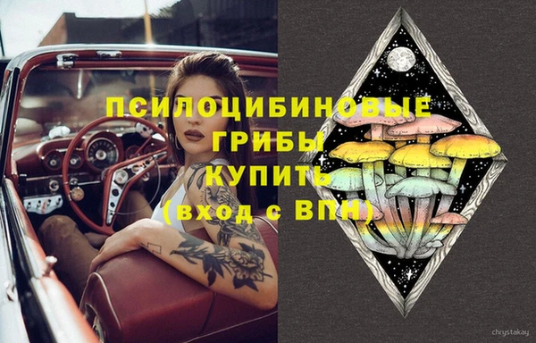 винт Алексеевка