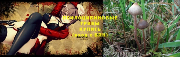 винт Алексеевка