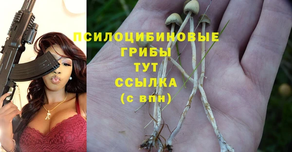 метадон Горняк