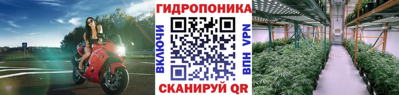 blacksprut онион Берёзовский Бошки Шишки индика